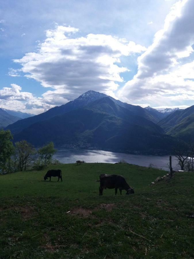 Agriturismo Piccolo Paradiso Pianello Del Lario Zewnętrze zdjęcie