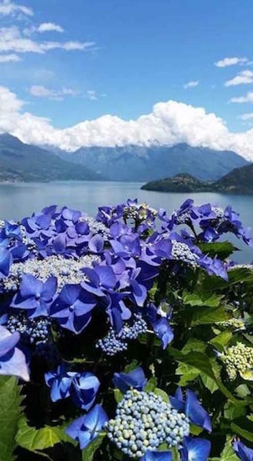 Agriturismo Piccolo Paradiso Pianello Del Lario Zewnętrze zdjęcie