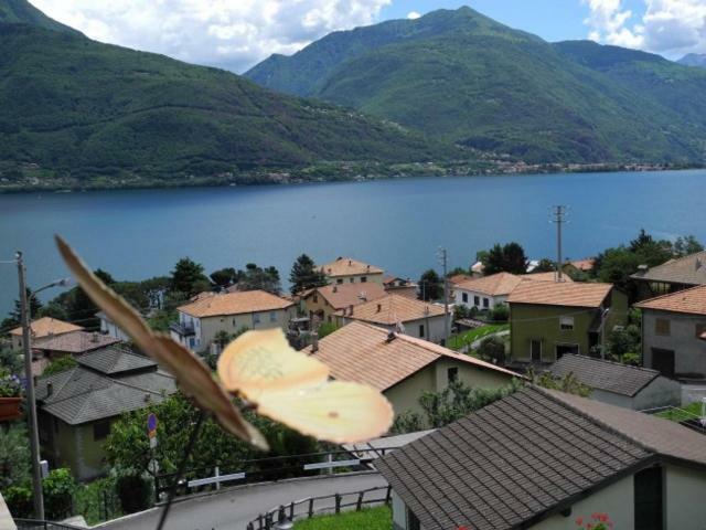 Agriturismo Piccolo Paradiso Pianello Del Lario Zewnętrze zdjęcie